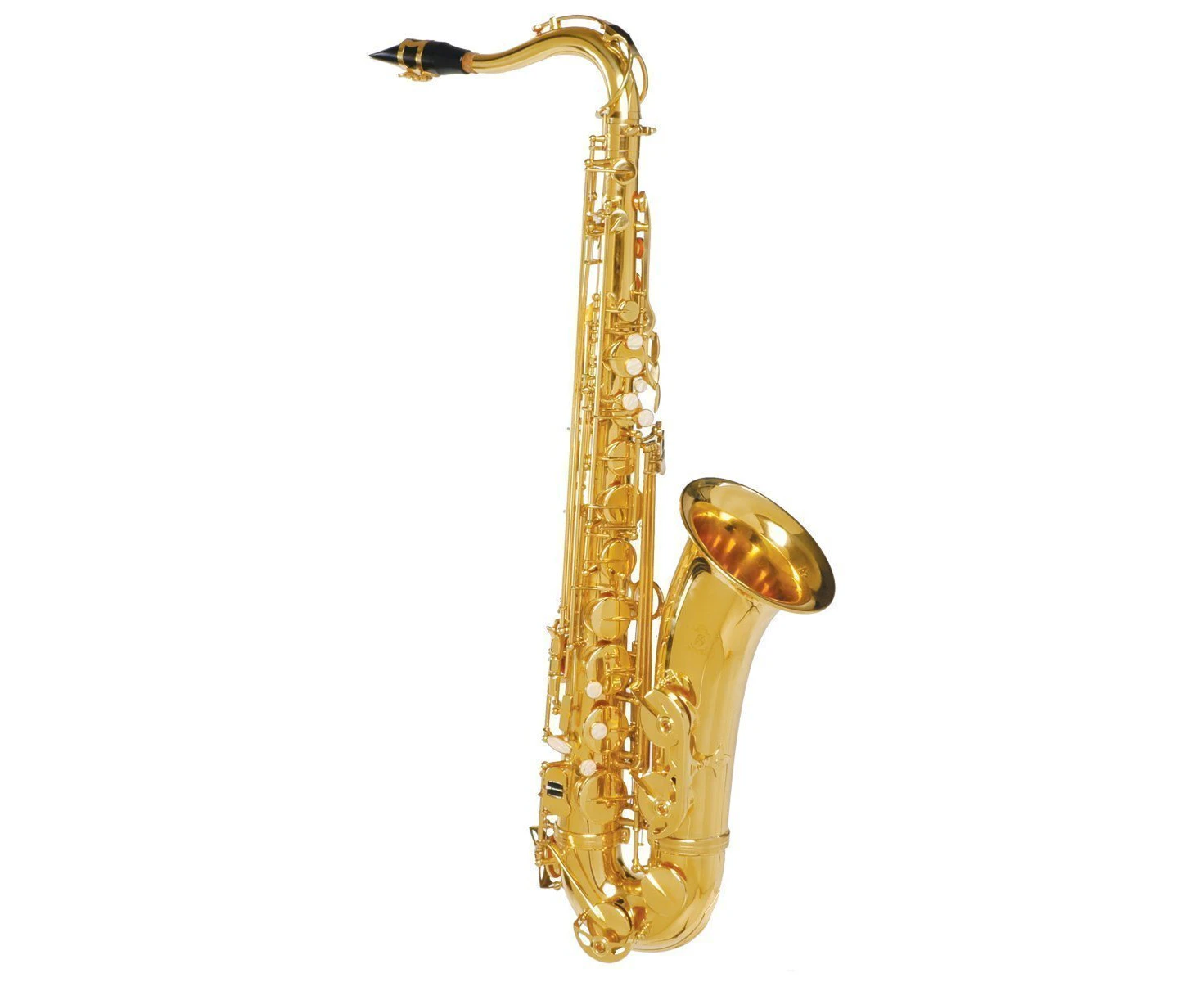 Steinhoff Student Tenor Saxophone (Gold)