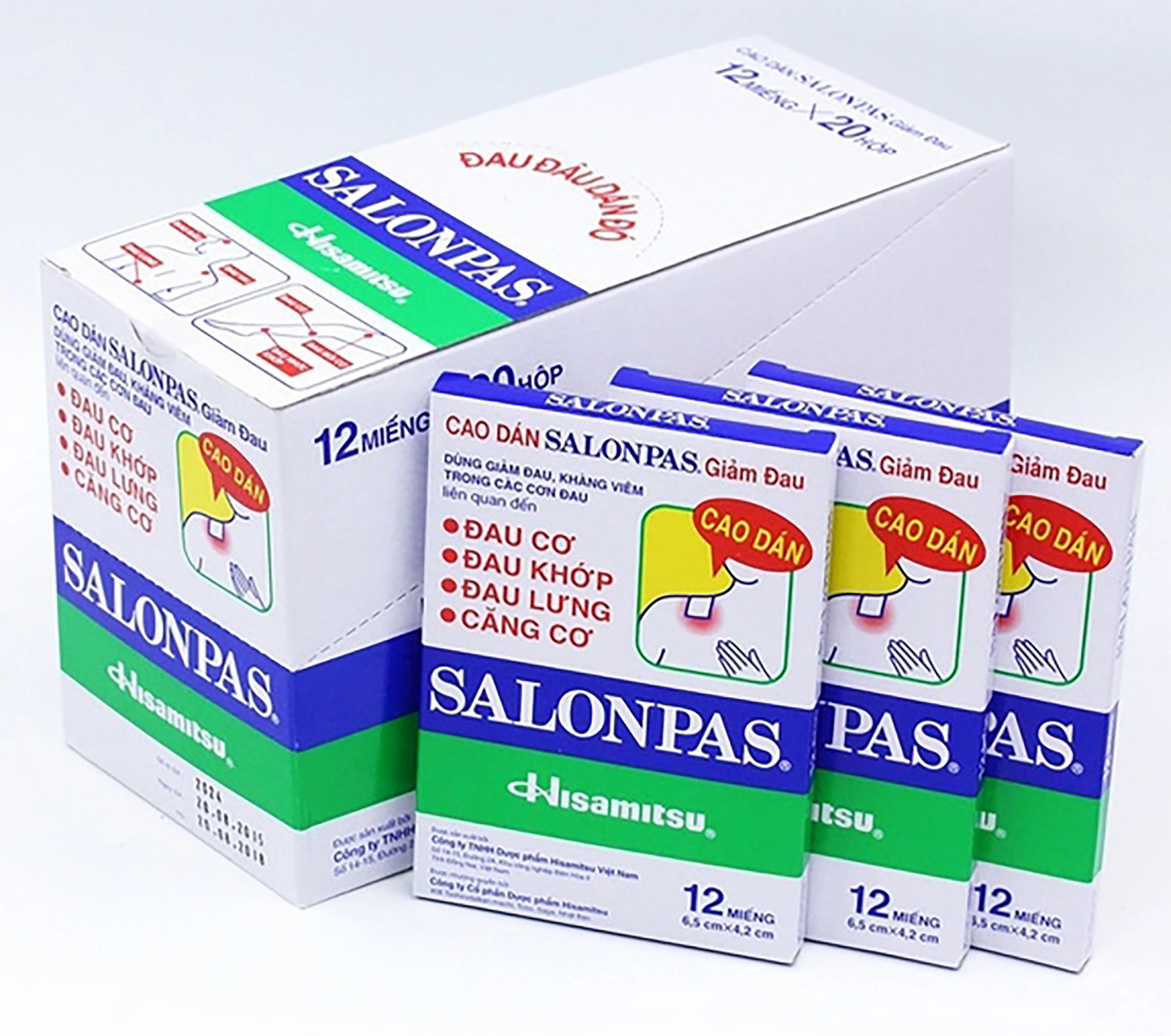 Salonpas Hisamitsu Pain Relief Patch 20 Packs (240 Patches)