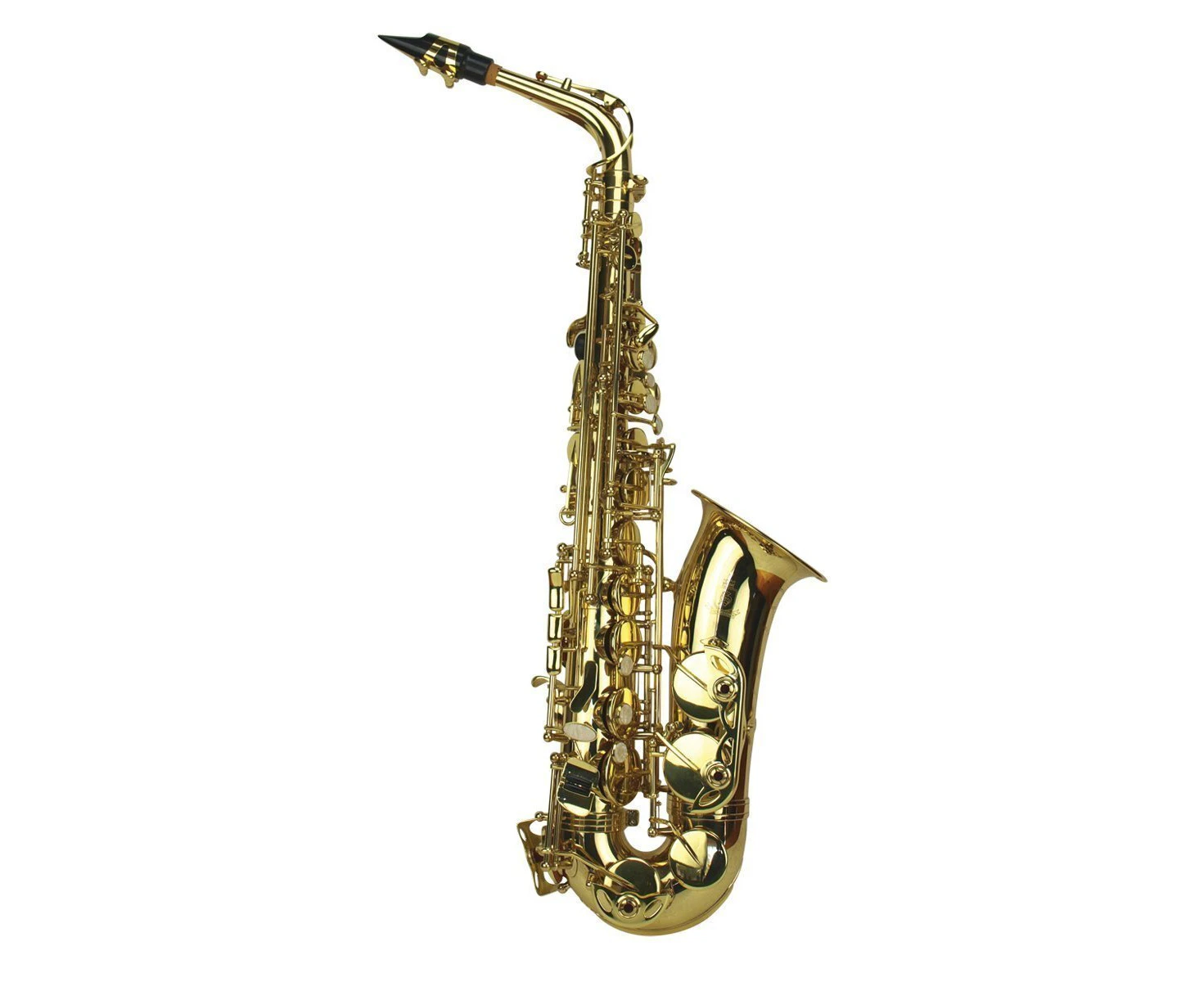 Steinhoff Student Alto Saxophone (Gold)