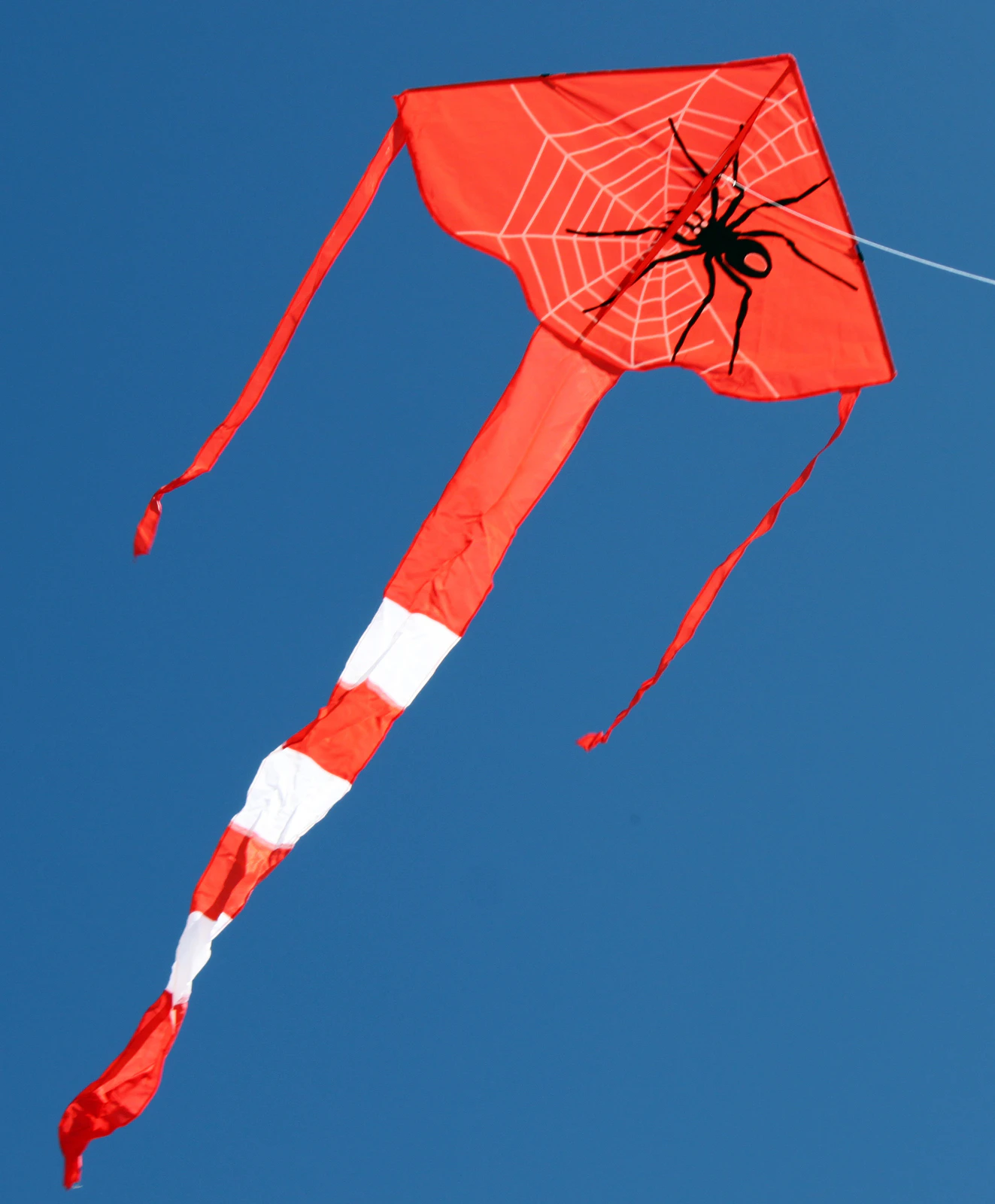 Ocean Breeze Kite Spider Delta - 831