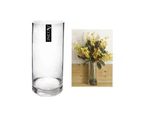 bulk 6 Glass Cylinder Vase Flower 15x50cm