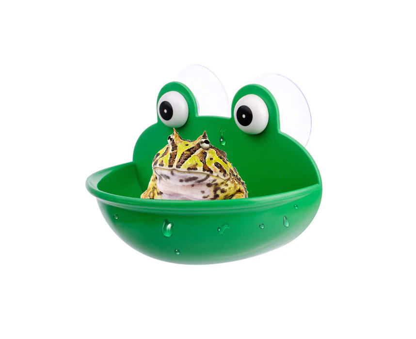 Miserwe Amphibian Aquatic Frog Habitat Cute Fish Tank Decoration Soap Tray-Green