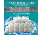 DreamZ 700GSM All Season Goose Down Feather Filling Duvet in King Single Size