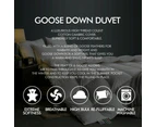 DreamZ 700GSM All Season Goose Down Feather Filling Duvet in King Single Size