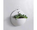 Vases Decorative Pots Plastic Half Round Mini Wall Plant Hanging - White
