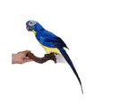 45CM Simulation Parrot Simulation Bird Macaw Foam Feather Parrot Sen Gardening Decoration|Color:Blue