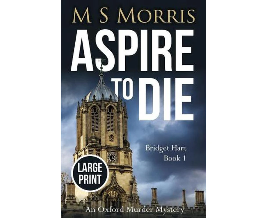 Aspire to Die (large Print)