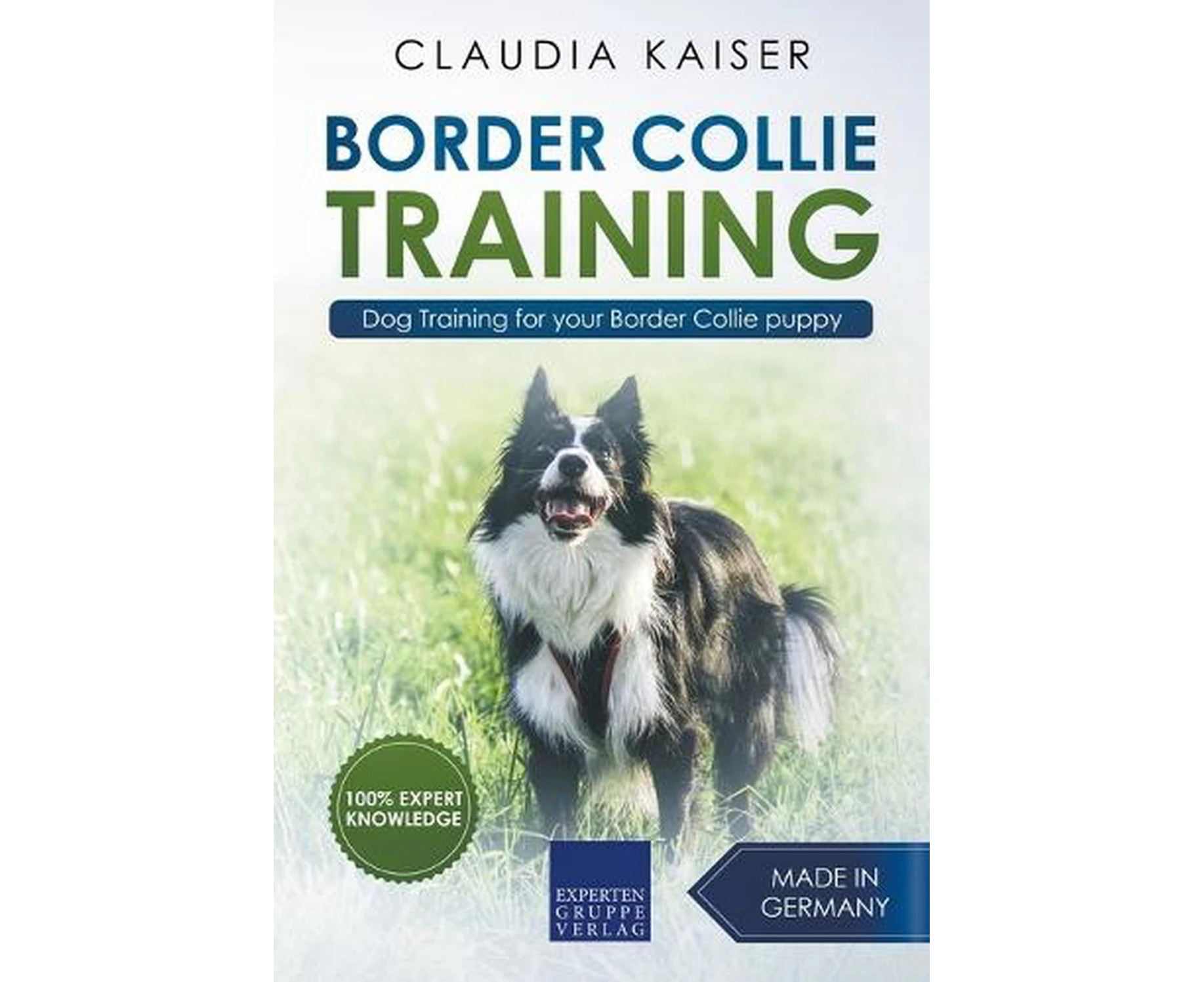 Border Collie Training - Dog Training for Your Border Collie Puppy