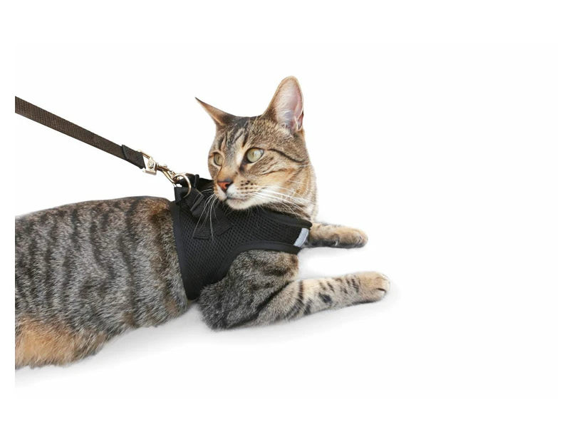 Cat Harness with Vest