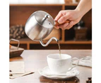 Small Pour Over Coffee Tea Kettle Drip Pot for Camping, Home & Kitchen Silver