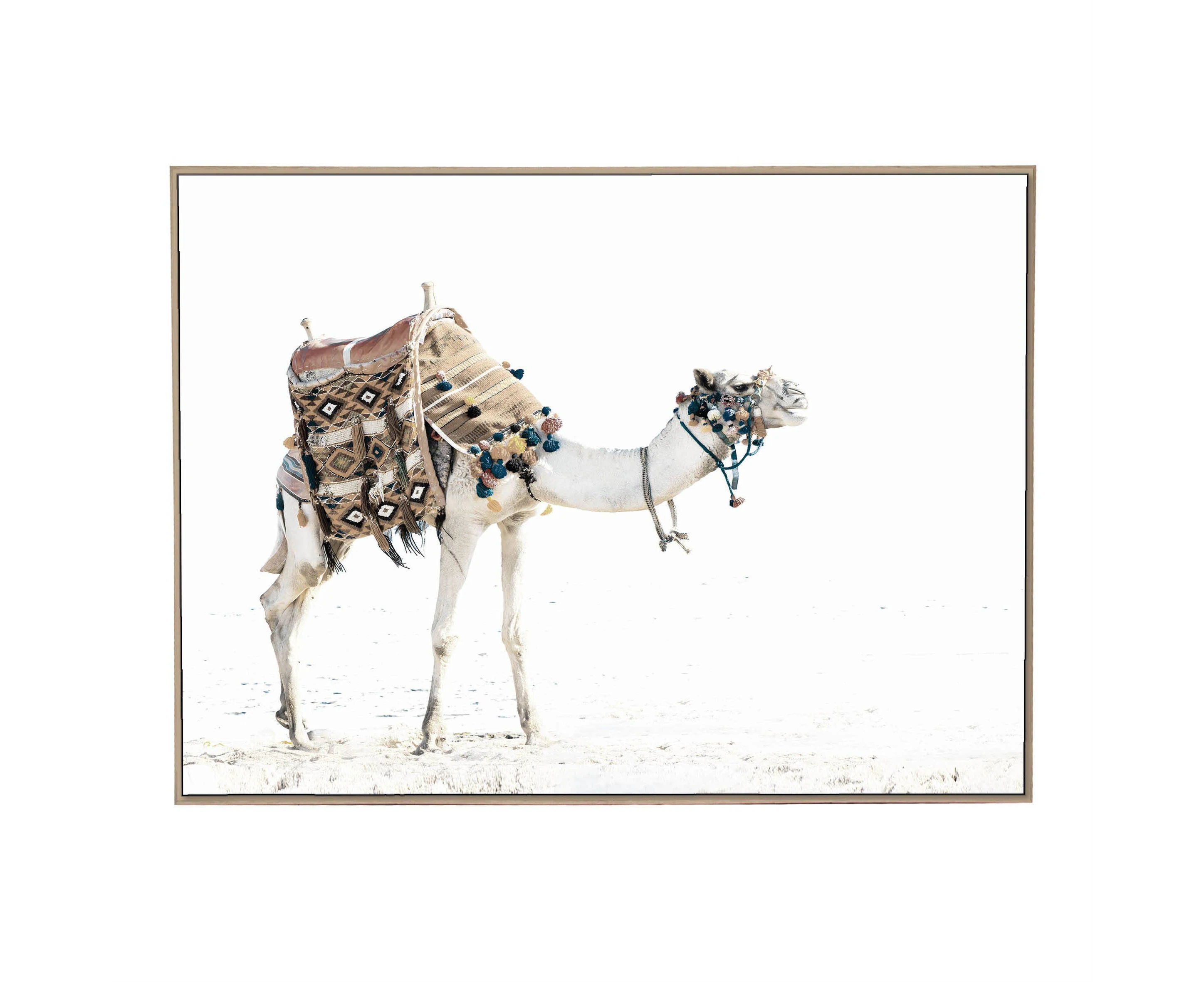 Artevo 85x115cm Camel Land Canvas Wall Art