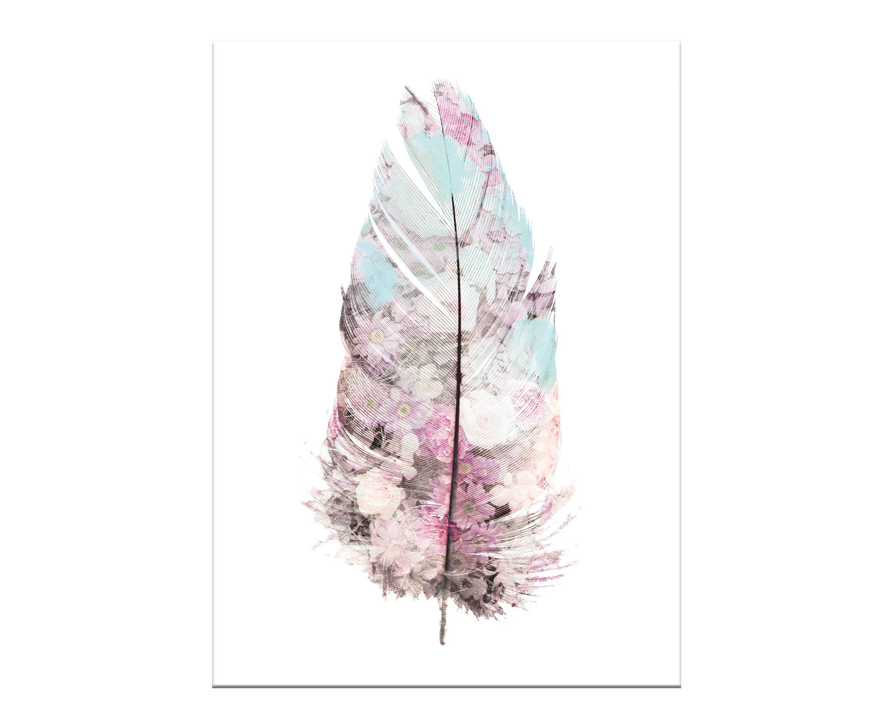 Artevo 85x65cm Soft Feather 2 Canvas Wall Art