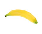 Banana Lemon Fruit Shaker Musical Maraca Rattles for Children Kids