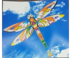 Ocean Breeze Kites 864 Dragonfly Single