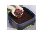 Composting Worms - 1000 (250g. approx.)