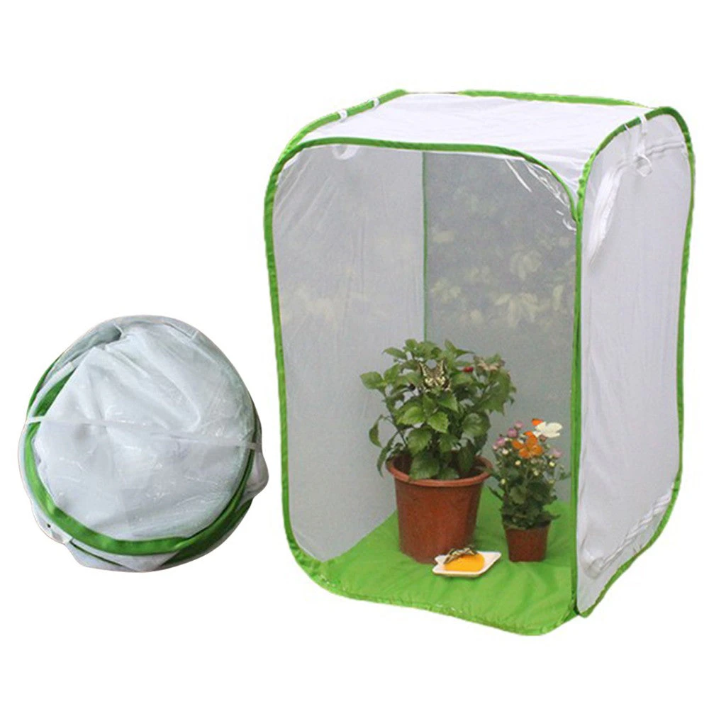 Folding Insect Mesh Cage Butterfly Breathable Habitat Cage Feeding Container