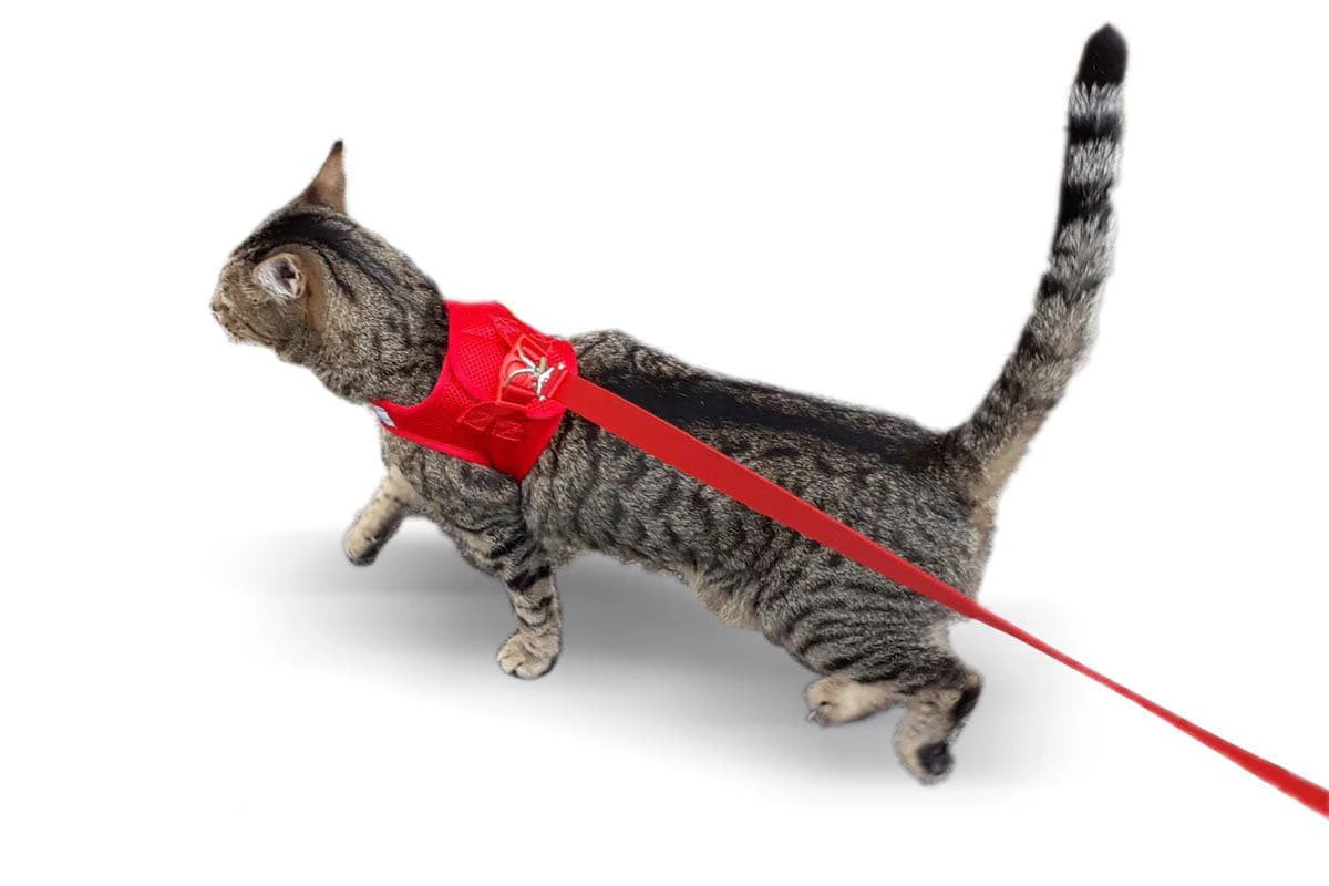 Cat Harness with Vest - Red