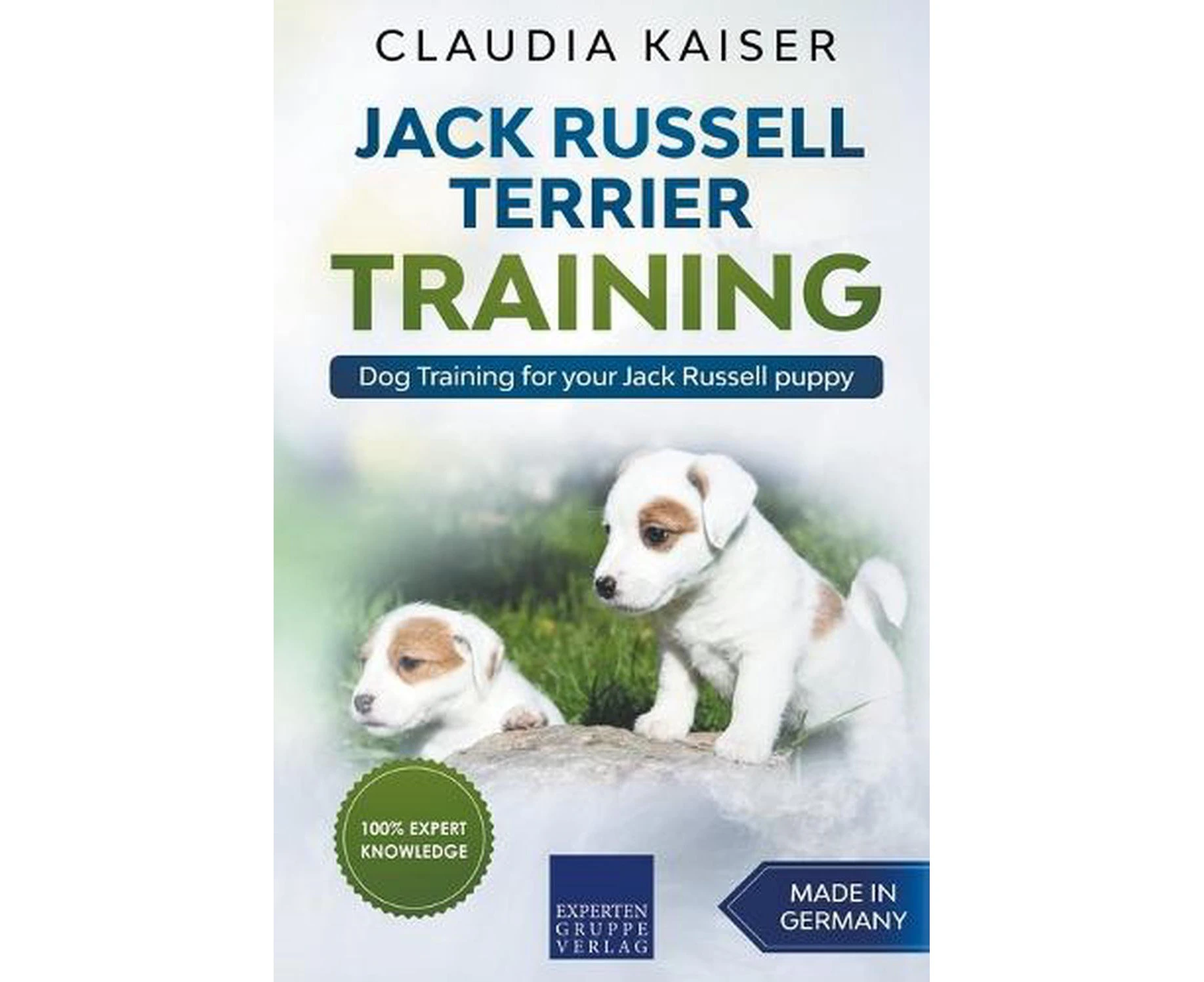 Jack Russell Terrier Training: Dog Training for Your Jack Russell Puppy