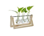 Glass Desktop Planter with Retro Wooden Stand and Plant Terrarium Vase