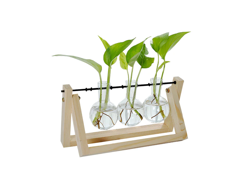 Glass Desktop Planter with Retro Wooden Stand and Plant Terrarium Vase