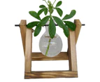 Wooden Stand Hanging Glass Vase Hydroponics Terrarium Container Pot Holder Home Decor S