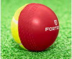 FORTRESS Cricket Swing Balls