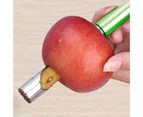 Apple Stainless Steel Pear Fruit Pepper Core Seed Remover Kitchen Tool Gadget-Black