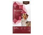 Holistic Select Grain Free Health Dry Dog Food Salmon, Anchovy & Sardine Meal 10.88kg