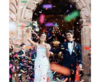 5PCS Popper Confetti Cannon Twist-to-Shoot Wedding Birthday Shooter Blaster