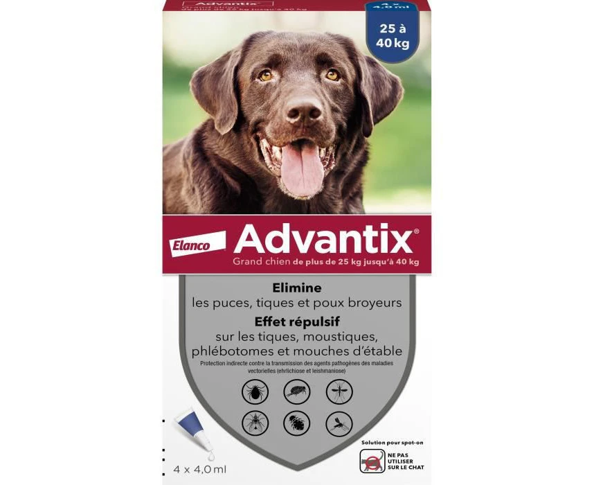 Advantix Large Dog between 25 and 40 kg – Pipettes for dogs against 6 parasites – Treatment and protection for your dog for 4 weeks – 4 x 4.0 ml