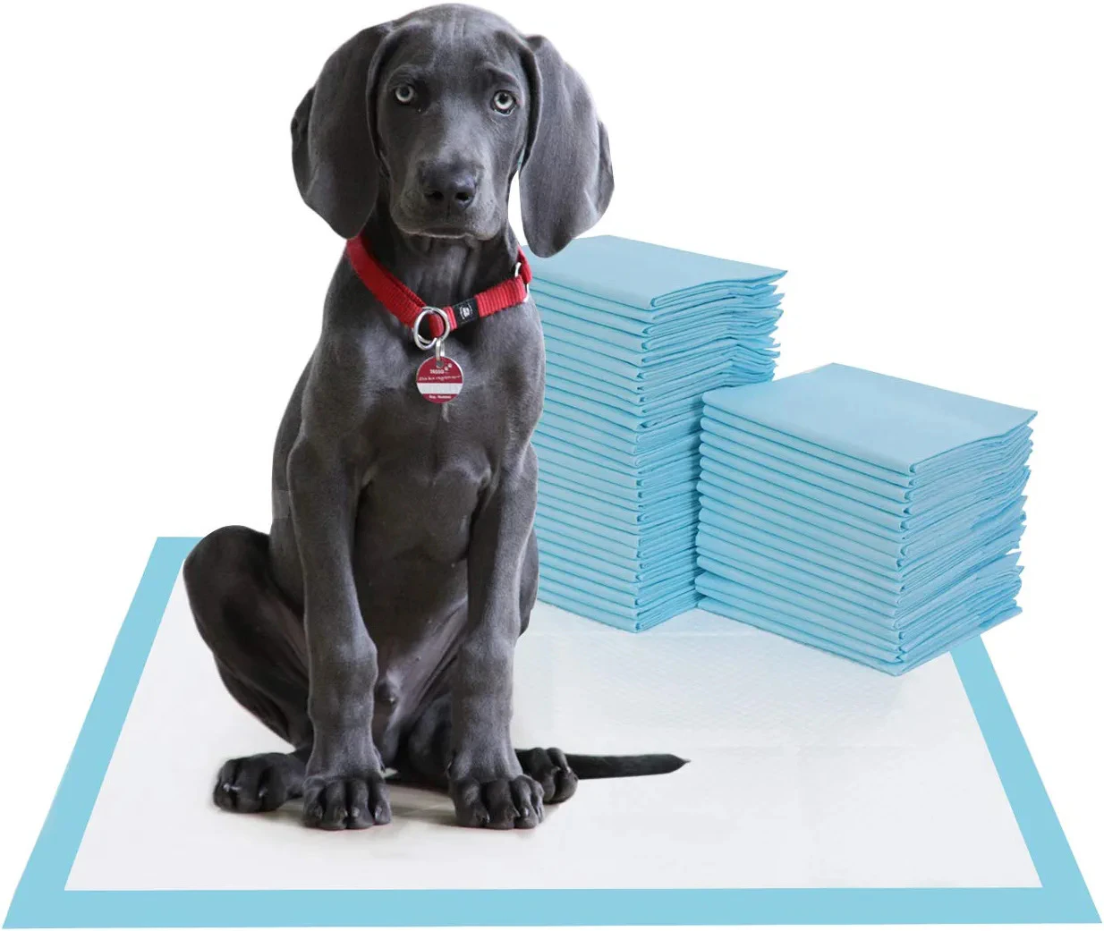 100 x Dog Training Pads 60x60cm Dogs Puppy Pads Pee Pads Cat Toilet Training Pad Biodegradable