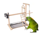 Parrot Cockatiel Birds Play Stand Gym Toy