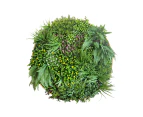 YES4HOMES Artificial Green Wall Plant Garden Flower Panel Disc Art 100cm Grassy  UV Resistant-Wonderland