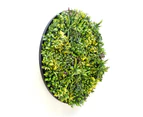 YES4HOMES Artificial Green Wall Plant Panel Disc Garden Flower Art 100cm Grassy UV Resistant-Fireworks Black Frame