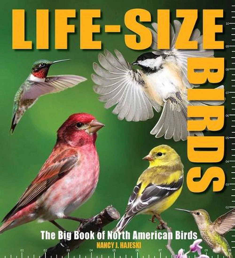 Life-Size Birds