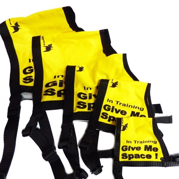 Black Dog Wear Awareness Vest -Give Me Space In Training - Xsmall-Xlarge