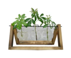 Wooden Stand Hanging Glass Vase Hydroponics Terrarium Container Pot Holder Home Decor L