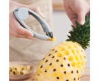 2 Pack Pineapple Eye Peeler Fruit And Vegetable Practical Seed Remover Clip Fruit Tools