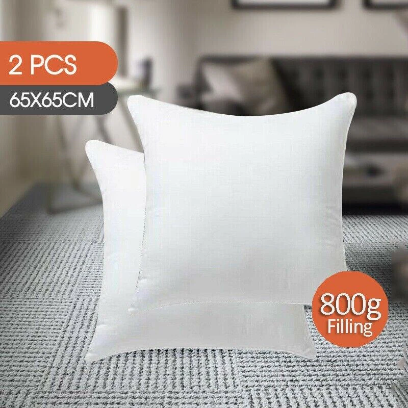 2x European Cushion Pillow Insert Resistant Polyester 800g Filling White 65x65cm