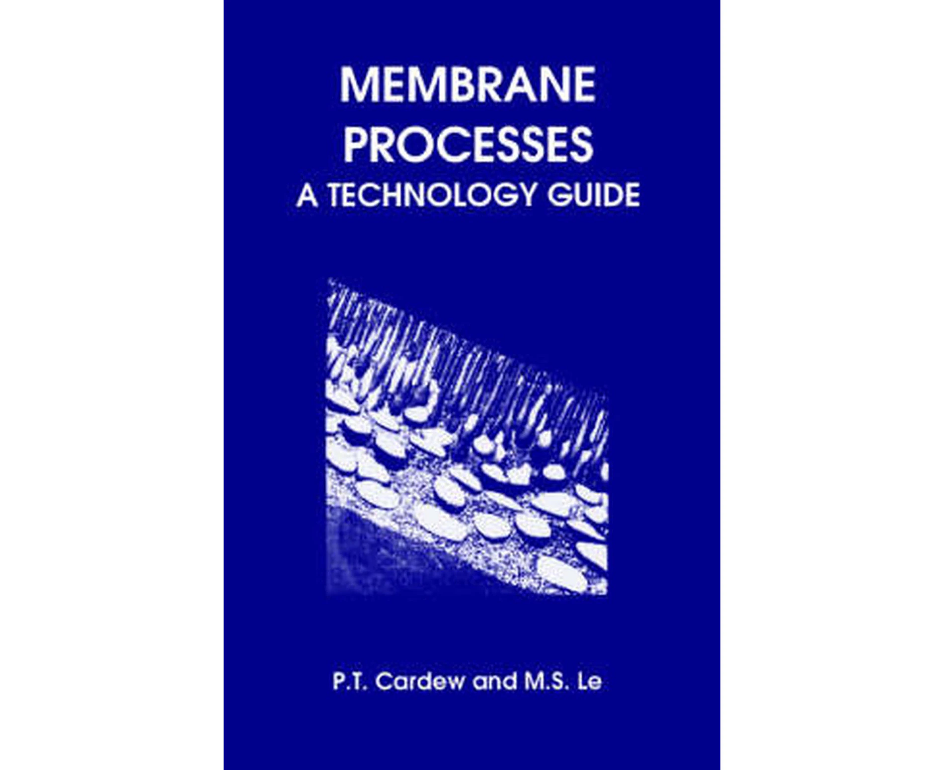 Membrane Processes