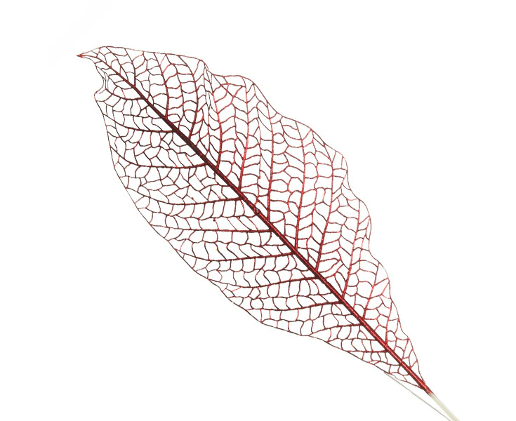 Red Mesh Palm Leaf