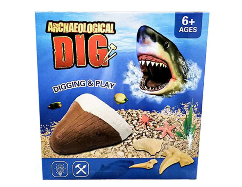 Dig Out Shark Tooth Kids Children Playtime Educational Toy Digging Science Kit