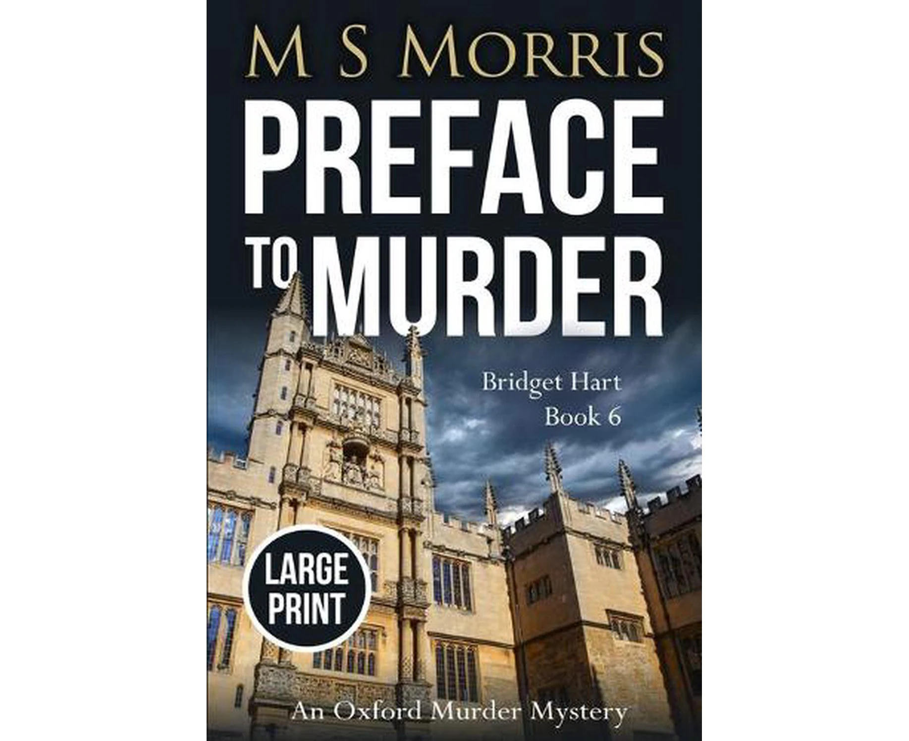 Preface to Murder (large Print)