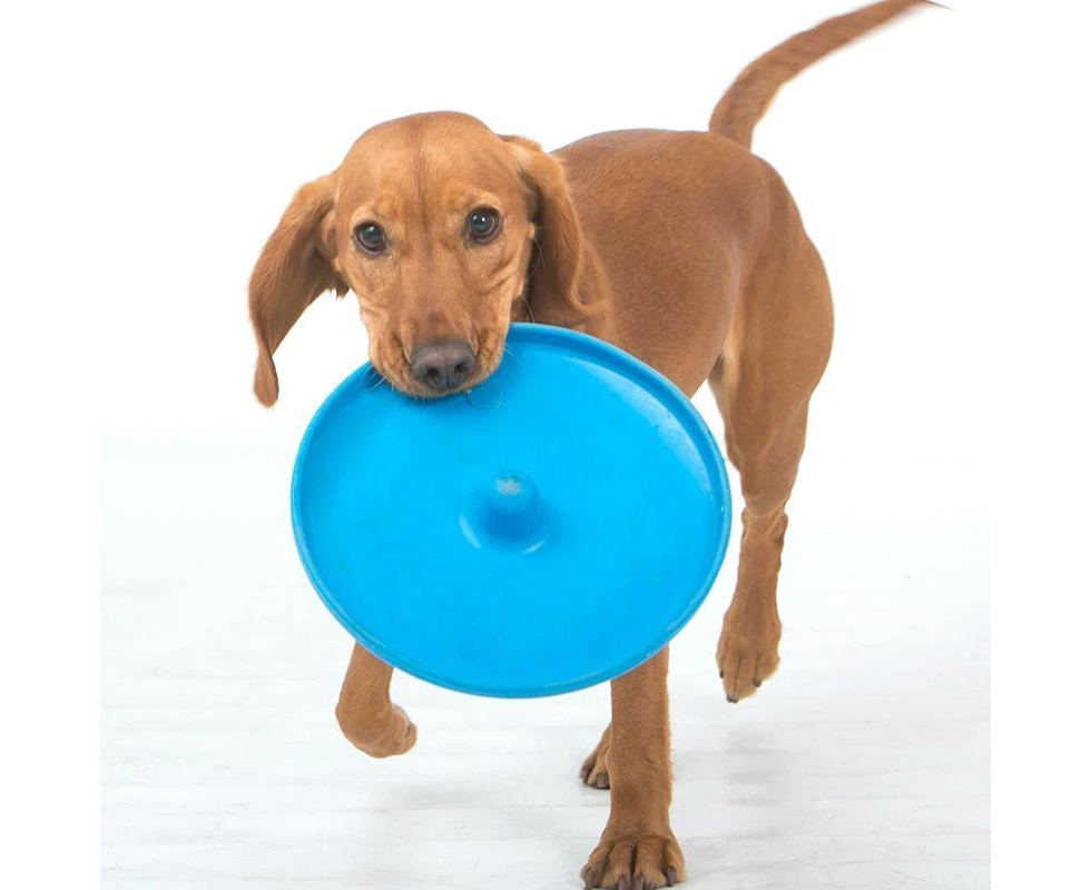 Dog Puppy Fetch Training Toy Flying Disc Frisbee Pet - Assorted Colours