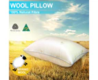 Aus Made New Wool Pillow Anti-Mite Feather/Down/Latex/Memory Altern