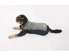 Adventure Walker 25cm Grey/Navy Dog Coat Jacket by Pet One