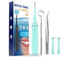 Electric Sonic Dental Scaler LED Light Tooth Calculus Remover with Mouth Mirror 3 Modes Waterproof Teeth Whitening Cleaner Oral Care - Black