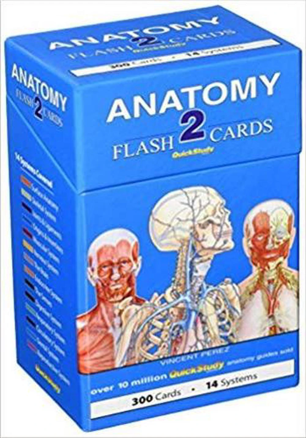 Anatomy 2 Flash Cards (300 cards)