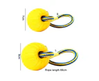 Pet Ball Toy Protruding Surface Exercise Jaw Dental Care Bounces Bite Engaging Dog Chew Ball Pet Supplies - L
