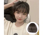 Fashion Women Fiber Synthetic Hair Clip on Air Bangs Hairpiece Front Fake Wigs 2 Light Brown